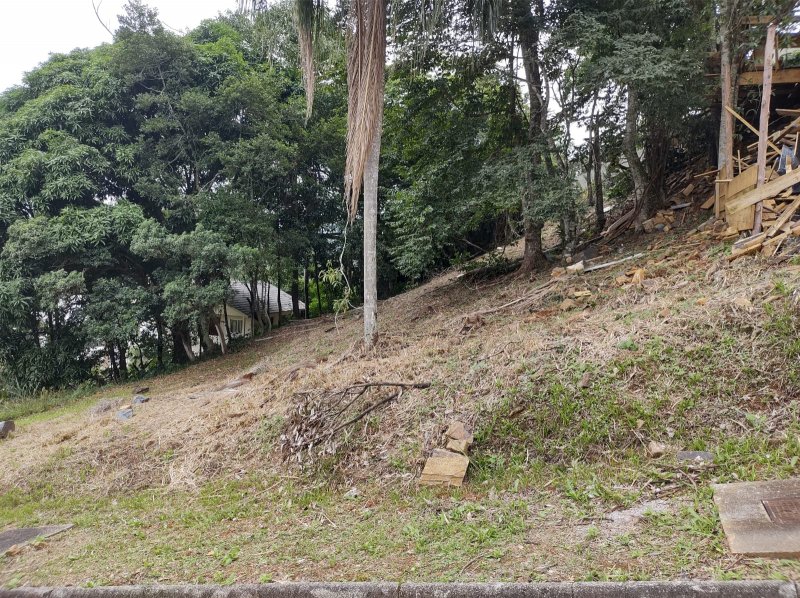 Terreno - Venda - C�rrego Grande - Florian�polis - SC